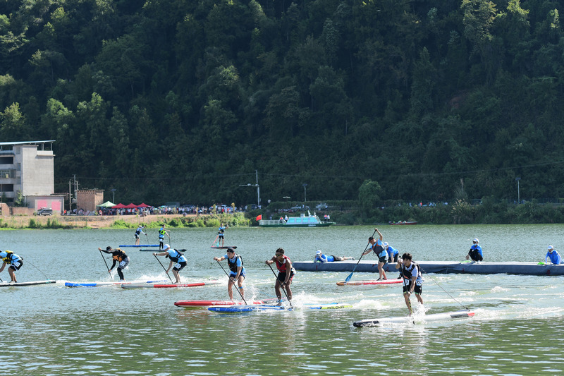 嘉兴琵琶岛：异国萌宠与自然疗愈的完美结合(图1)